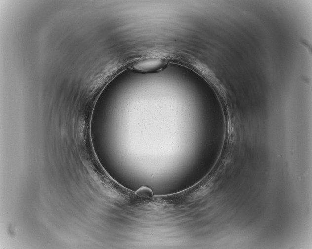 X0000100900201200807011228