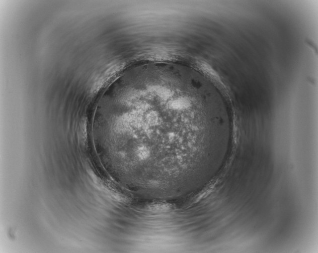 X0000100900202200807011228