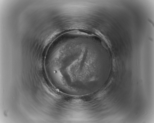 X0000100900203200807011228