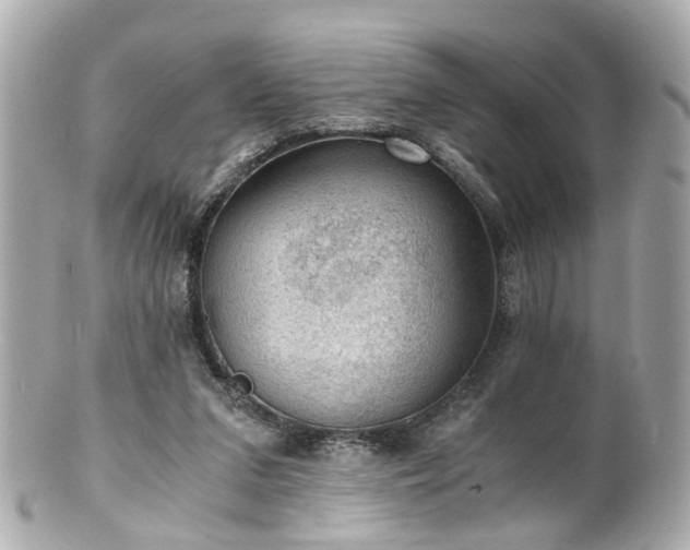 X0000100900207200807011228