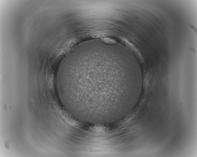 X0000100900209200807011228