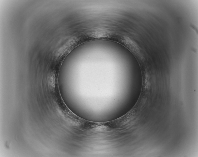 X0000100900210200807011228