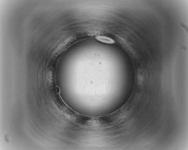 X0000100900211200807011228