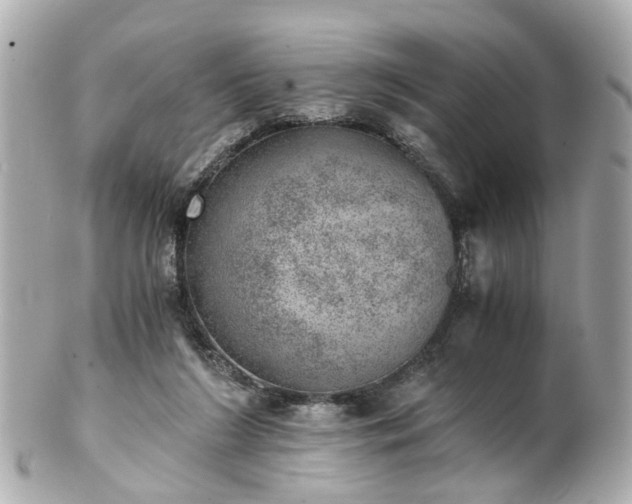 X0000100900212200807011228