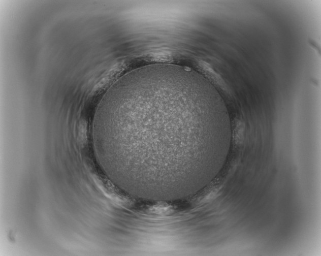 X0000100900213200807011228