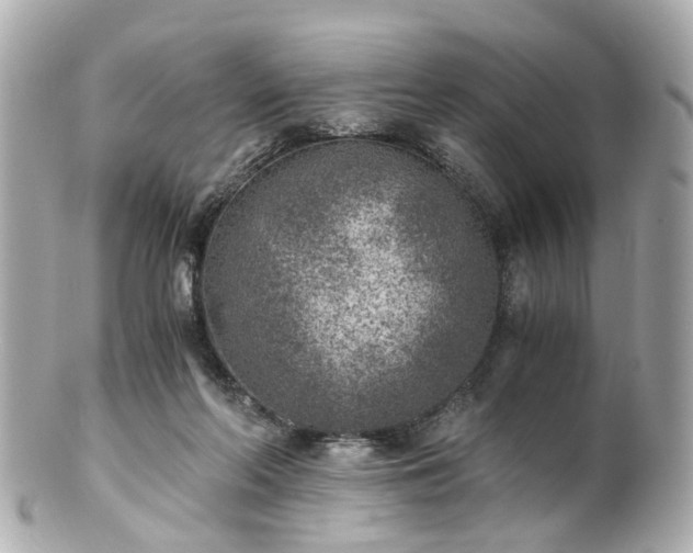 X0000100900214200807011228