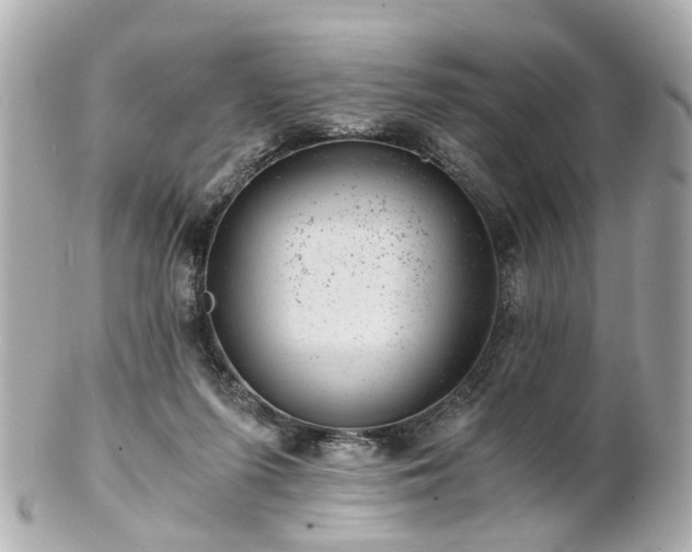 X0000100900215200807011228