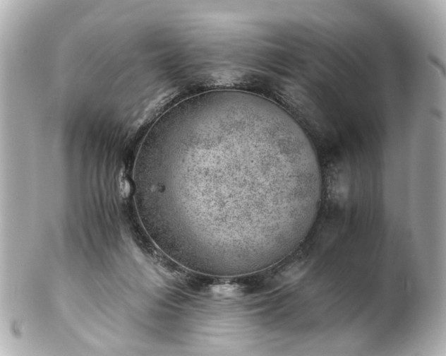 X0000100900216200807011228