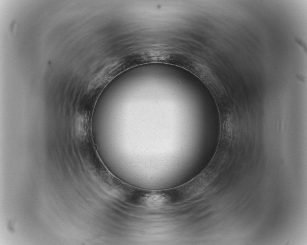 X0000100900218200807011228