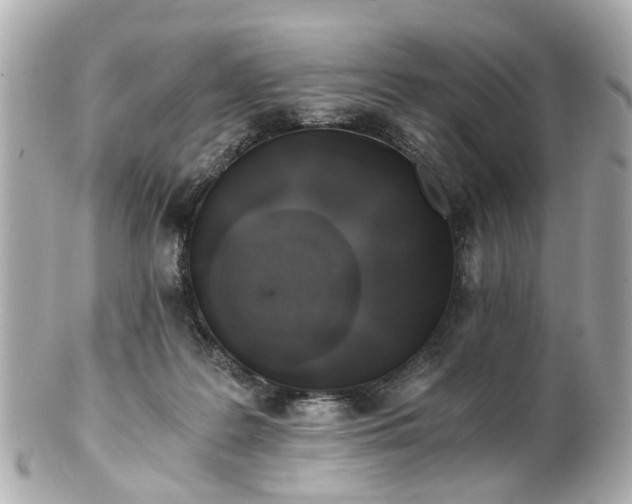 X0000100900219200807011228