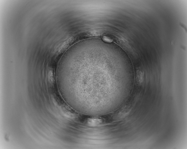 X0000100900220200807011228