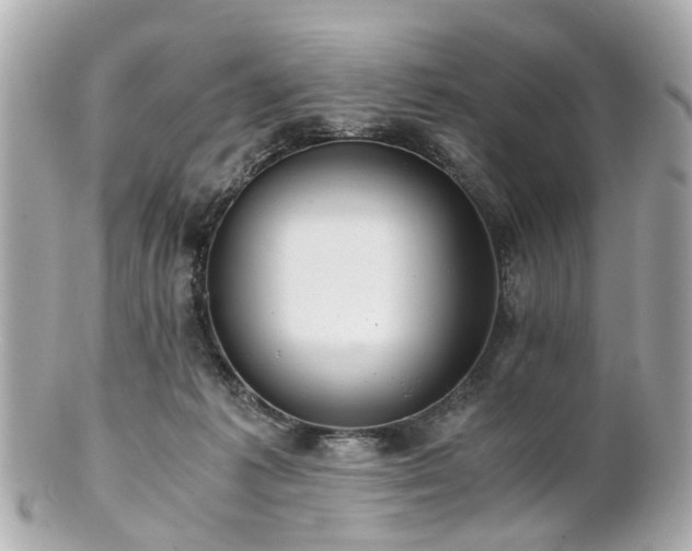 X0000100900221200807011228