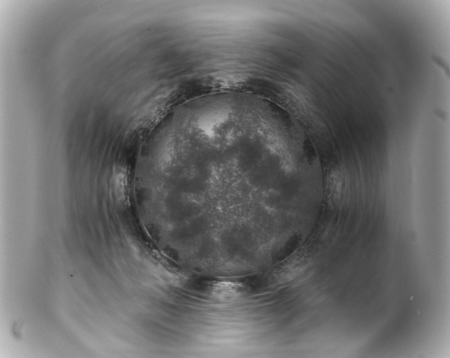 X0000100900222200807011228