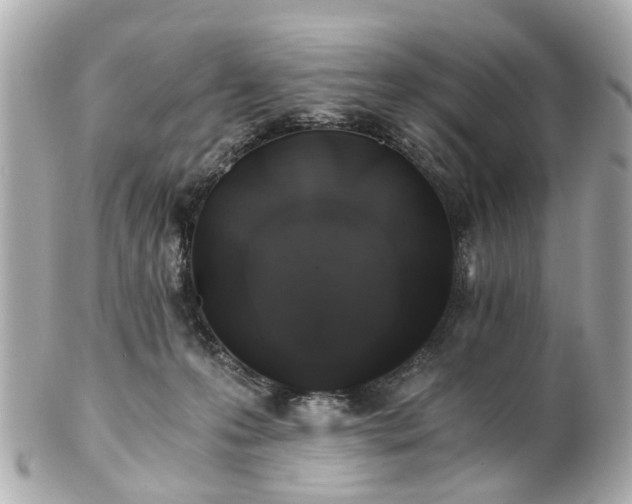 X0000100900223200807011228