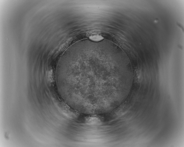 X0000100900224200807011228