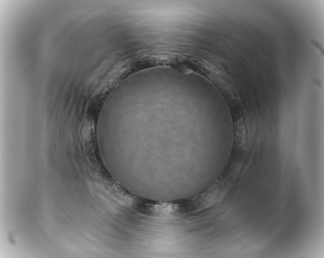 X0000100900225200807011228