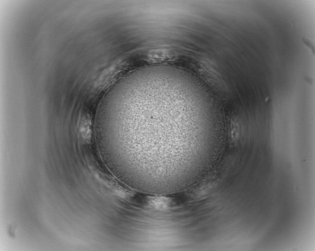 X0000100900226200807011228