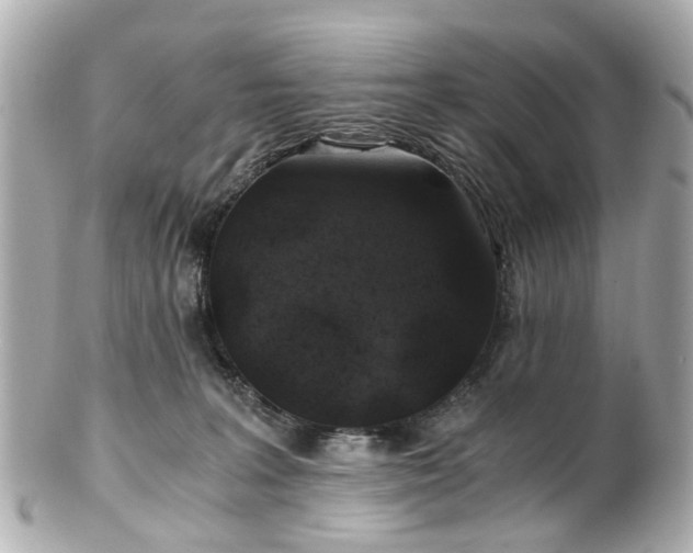 X0000100900227200807011228