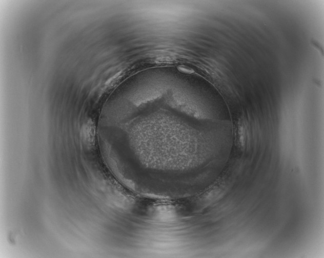 X0000100900228200807011228