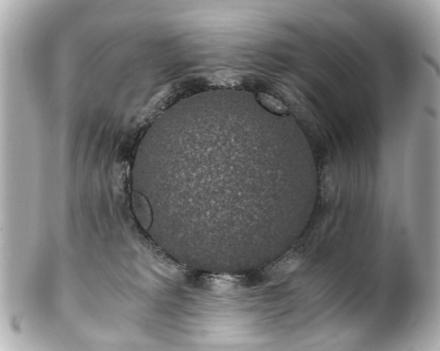 X0000100900229200807011228