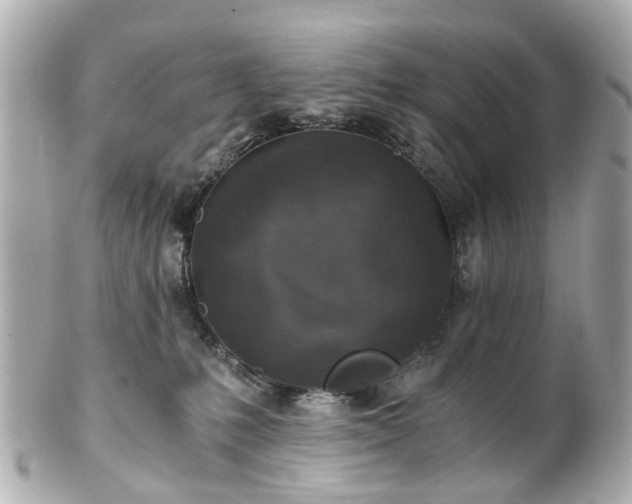 X0000100900231200807011228