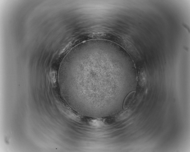 X0000100900232200807011228