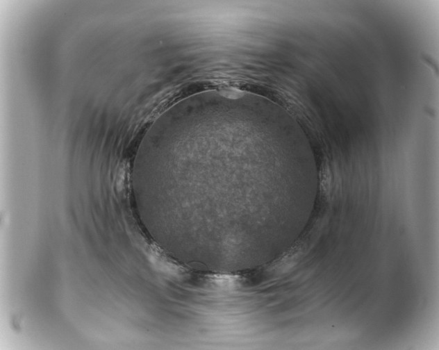 X0000100900233200807011228