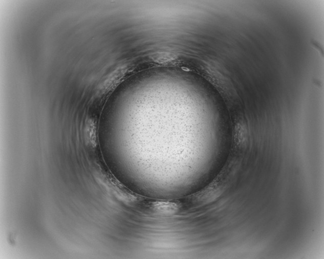 X0000100900234200807011228