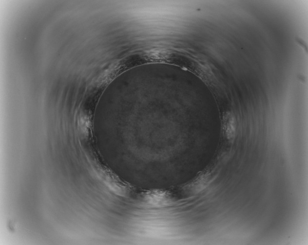 X0000100900235200807011228