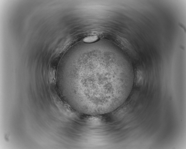 X0000100900236200807011228