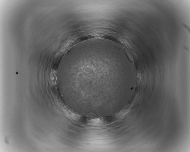 X0000100900237200807011228