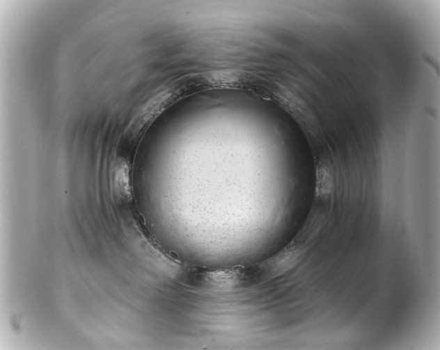 X0000100900238200807011228