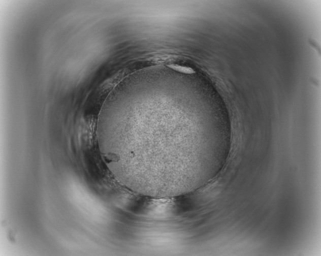 X0000100900240200807011228