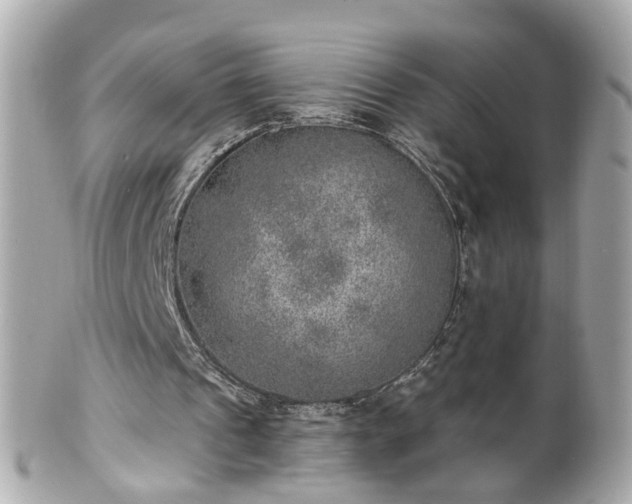 X0000100900241200807011227