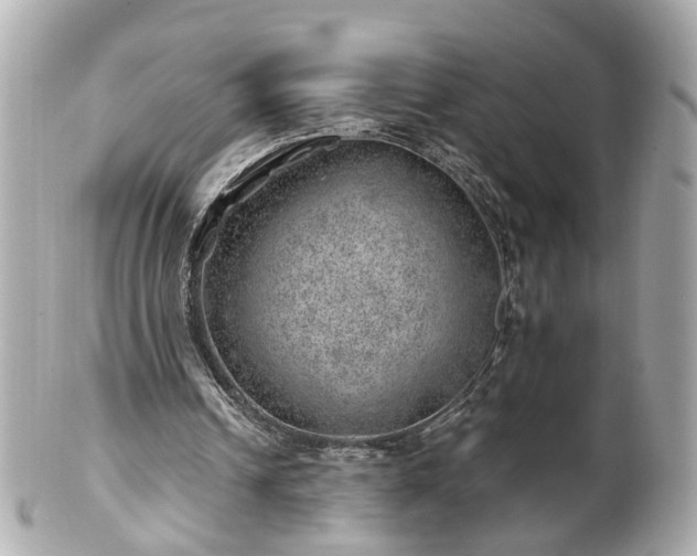 X0000100900242200807011227