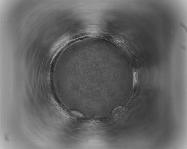 X0000100900243200807011227