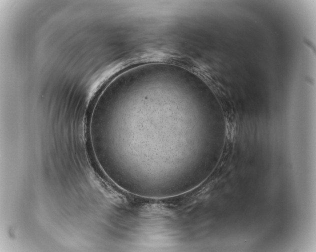 X0000100900244200807011227