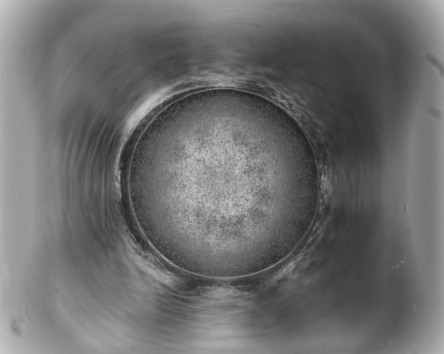 X0000100900246200807011227