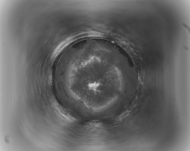 X0000100900247200807011227