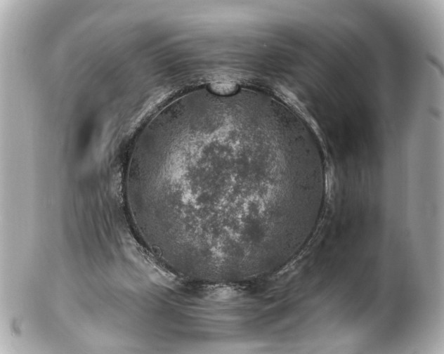 X0000100900249200807011227