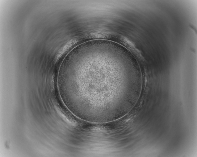 X0000100900250200807011227