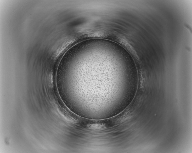 X0000100900251200807011227