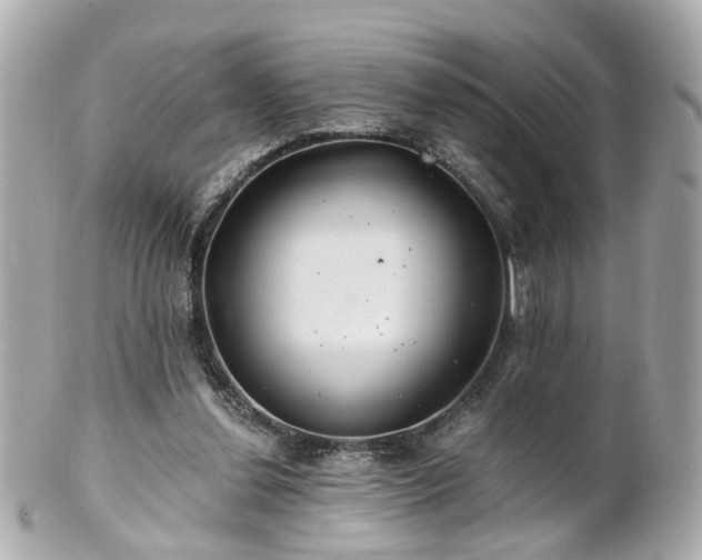 X0000100900252200807011227