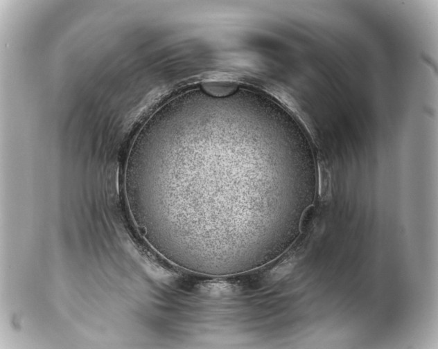 X0000100900253200807011227