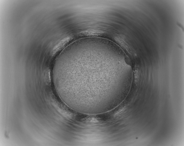 X0000100900254200807011227