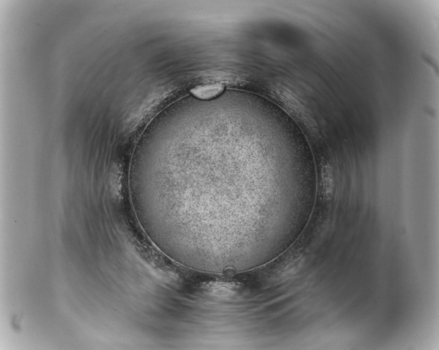 X0000100900255200807011227