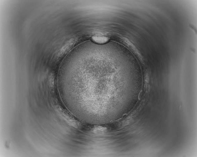 X0000100900257200807011227