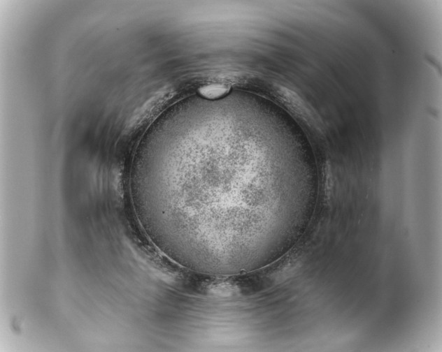 X0000100900258200807011227