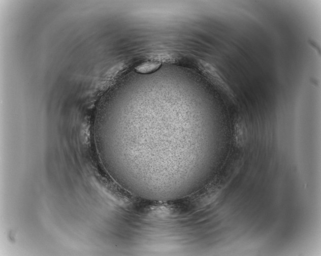 X0000100900259200807011227