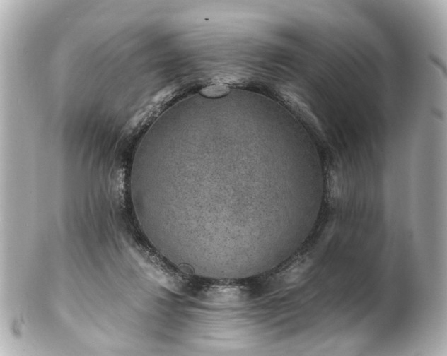 X0000100900260200807011227